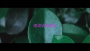 倾成语有哪些