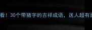猪年必看30个带猪字的吉祥成语送人超有面儿