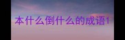 本什么倒什么的成语