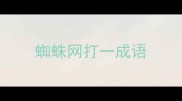 蜘蛛网打一成语
