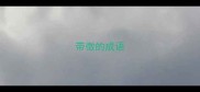 带徵的成语