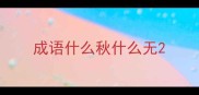 成语什么秋什么无