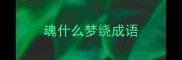 魂什么梦绕成语