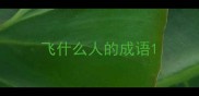 飞什么人的成语