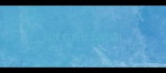 有虎有鸟什么成语