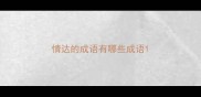 情达的成语有哪些成语