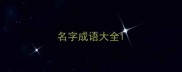 名字成语大全