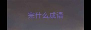完什么成语
