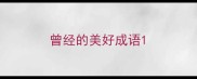 曾经的美好成语