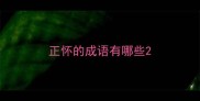 正怀的成语有哪些
