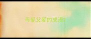 母爱父爱的成语