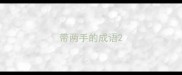 带两手的成语