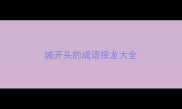 城开头的成语接龙大全