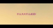 什么为大什么成语