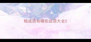 贼成语有哪些成语大全
