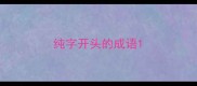 纯字开头的成语