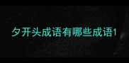 夕开头成语有哪些成语