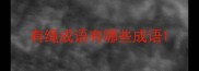 有绳成语有哪些成语
