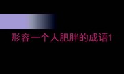 形容一个人肥胖的成语