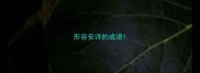 形容安详的成语