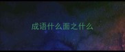 成语什么面之什么