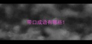 带口成语有哪些