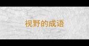 视野的成语