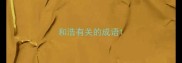 和浩有关的成语