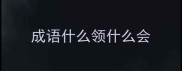 成语什么领什么会