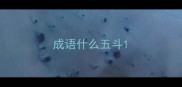 成语什么五斗