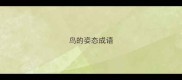 鸟的姿态成语