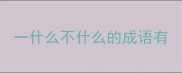 一什么不什么的成语有