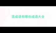 混成语有哪些成语大全
