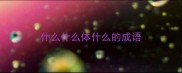 什么什么体什么的成语