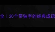 独的成语大全20个带独字的经典成语及使用场景