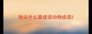 抱头什么窜成语动物成语
