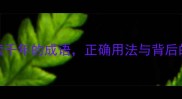 和然不被误读千年的成语正确用法与背后的故事附详细