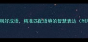 10个刚刚好成语精准匹配语境的智慧表达附用法