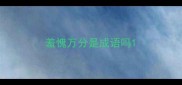 羞愧万分是成语吗