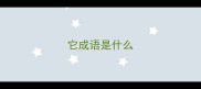 它成语是什么