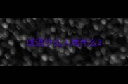 成语什么人难什么