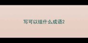 写可以组什么成语