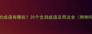 泪的成语有哪些20个含泪成语及用法全附例句