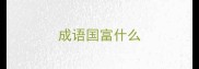 成语国富什么