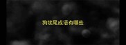 狗续尾成语有哪些