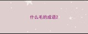什么毛的成语