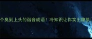 10个臭到上头的谐音成语冷知识让你笑出腹肌