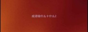 成语错什么十什么