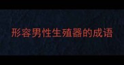 形容男性生殖器的成语