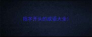 摇字开头的成语大全